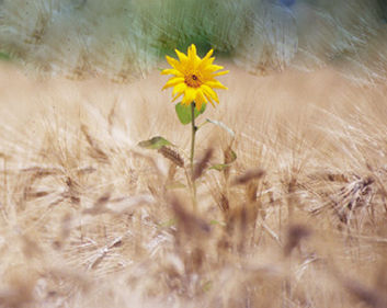 Time is running out. Do you care?